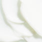 Refill  REVITALIZING CONDITIONER  -  True Alpine Herbs