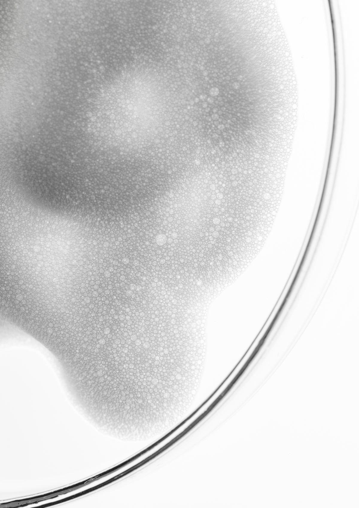 JU  -  HYDRAGLOW FOAM